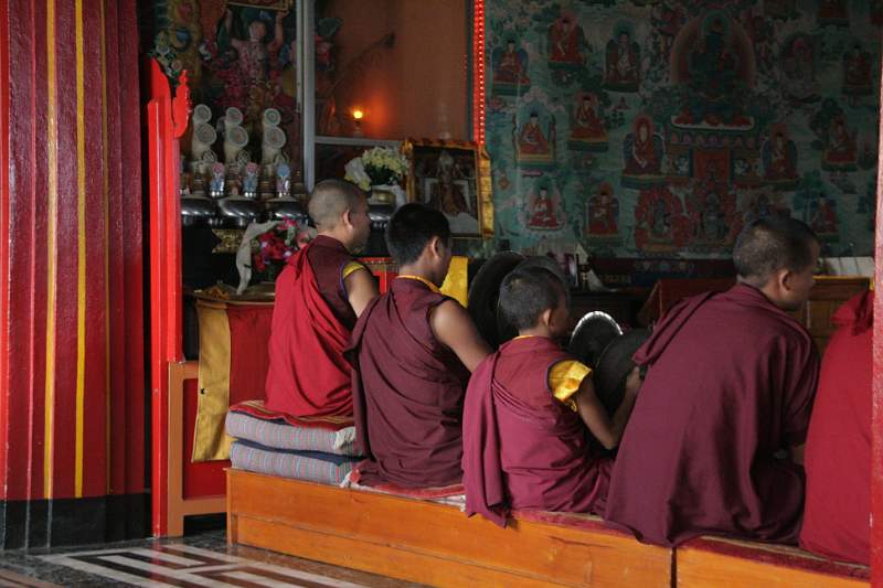 India & Nepal 2011 - 0451